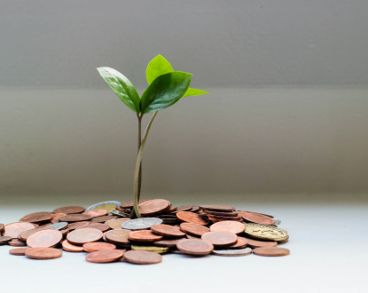 plant growing in a pile of coins